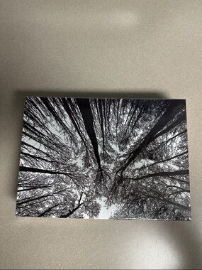 Black & White Tree Puzzle - Home Games Puzzles